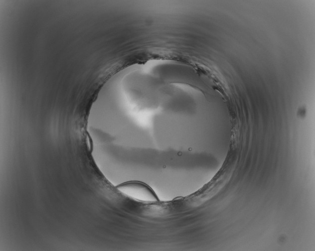 X0000116800285201001081341