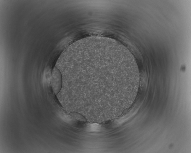 X0000116800287201001081341