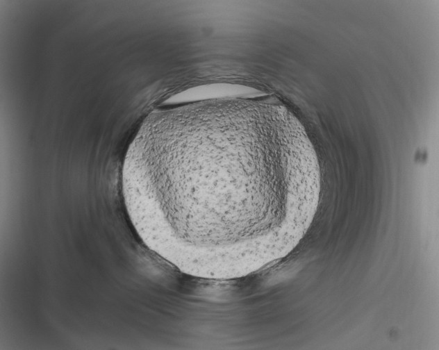 X0000116800288201001081341