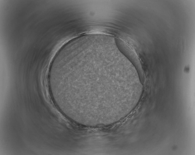 X0000116800289201001081340