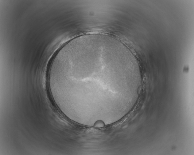 X0000116800290201001081340