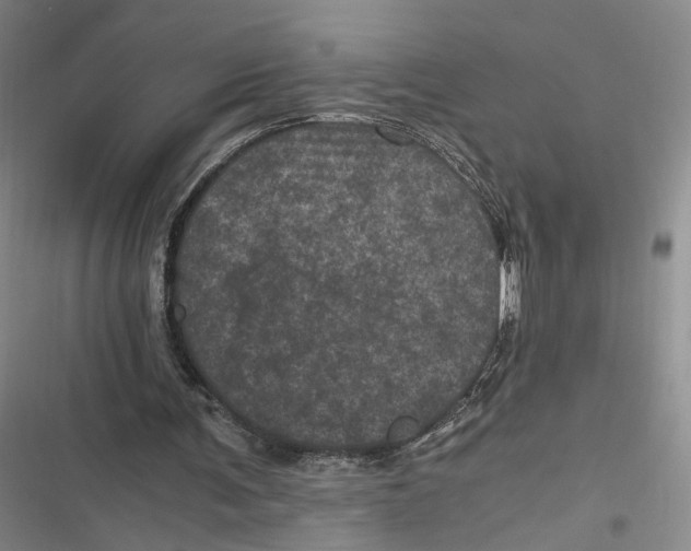 X0000116800291201001081340