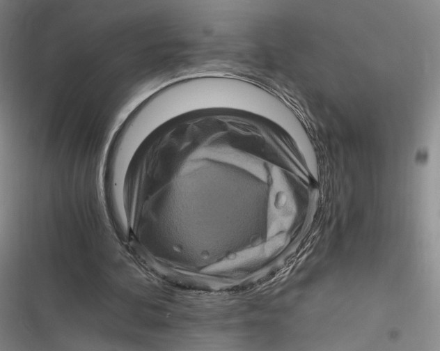 X0000116800292201001081340