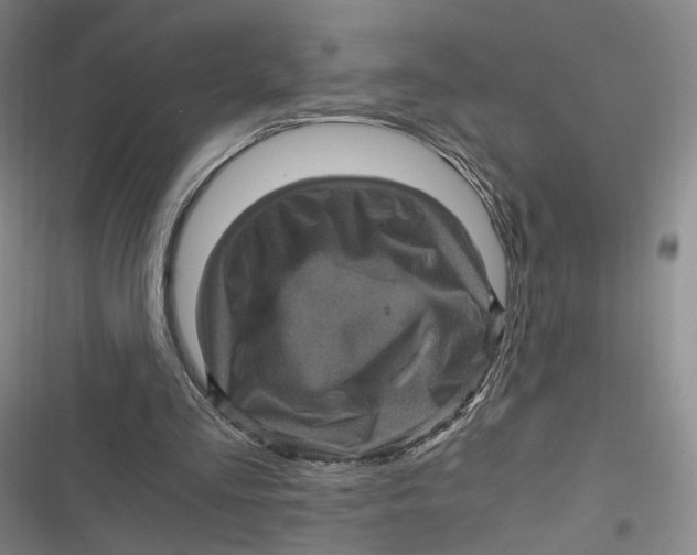 X0000116800293201001081340