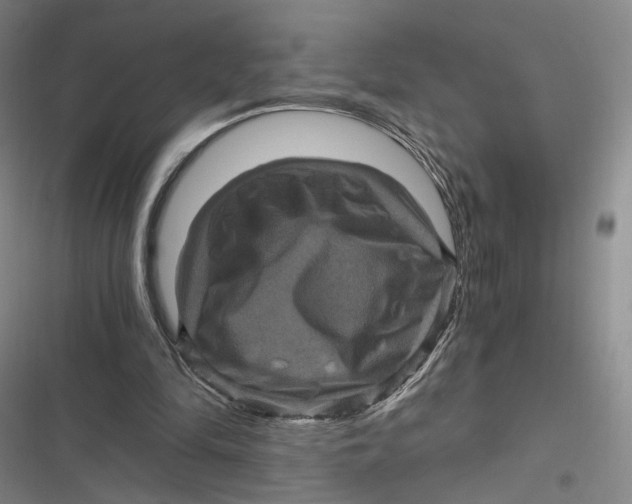 X0000116800294201001081340