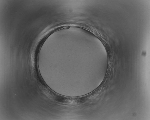X0000116800295201001081340