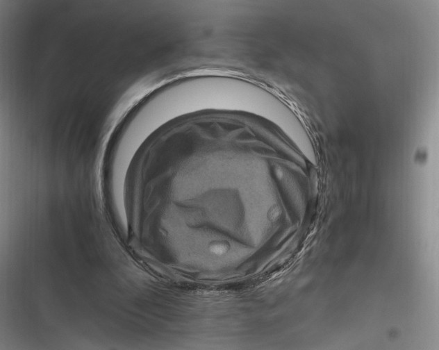 X0000116800296201001081340