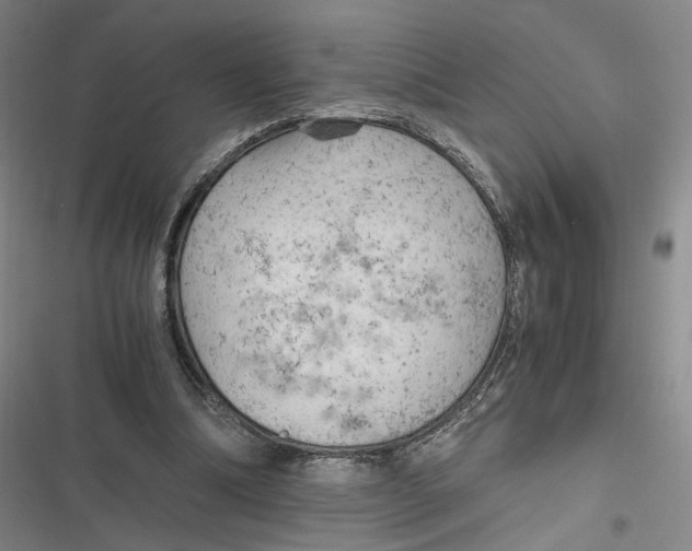 X0000116800298201001081340