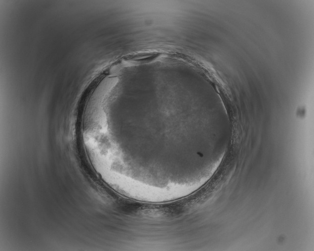 X0000116800299201001081340