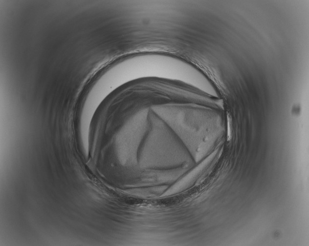 X0000116800300201001081340
