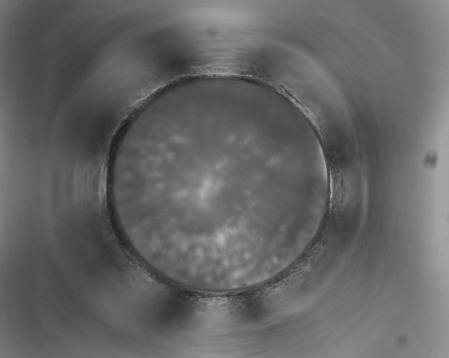 X0000116800301201001081340