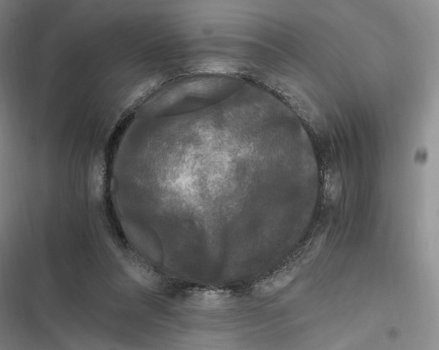 X0000116800304201001081340