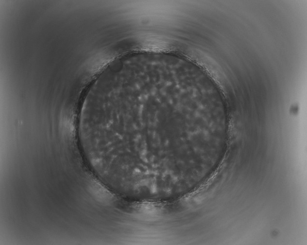 X0000116800305201001081340
