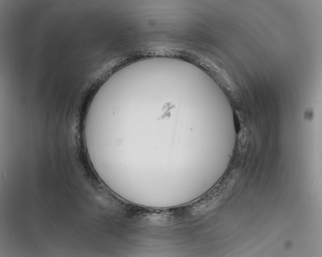 X0000116800306201001081340
