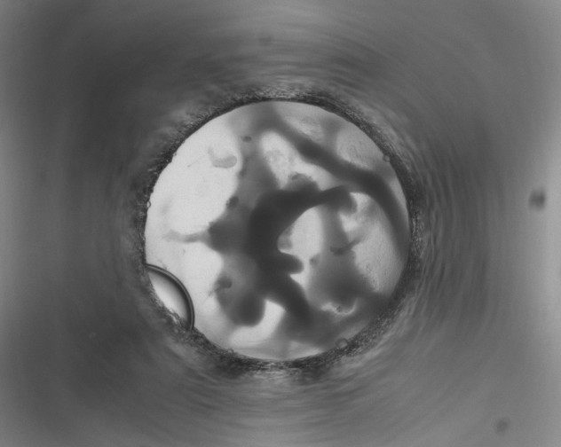 X0000116800307201001081340