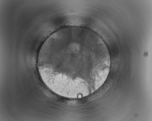 X0000116800309201001081340