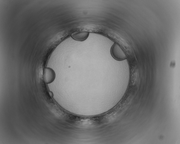 X0000116800310201001081340