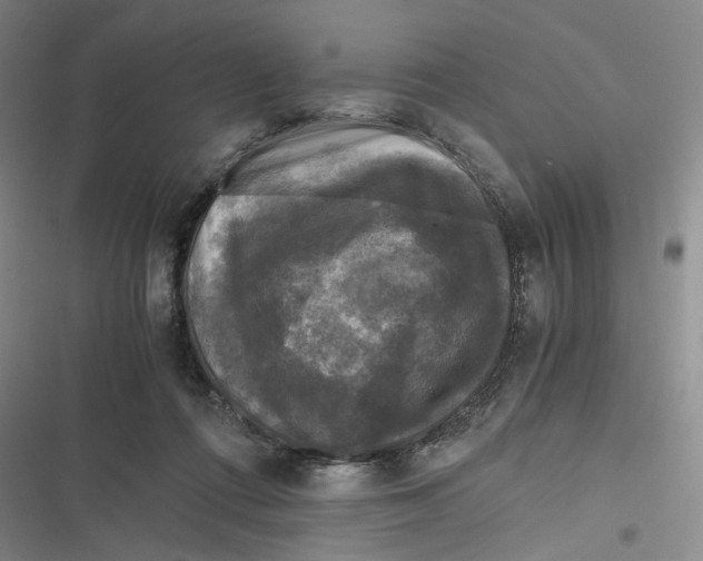 X0000116800312201001081340