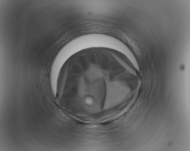 X0000116800313201001081340
