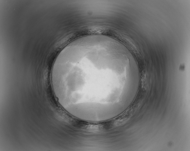 X0000116800314201001081340