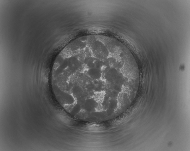 X0000116800315201001081340