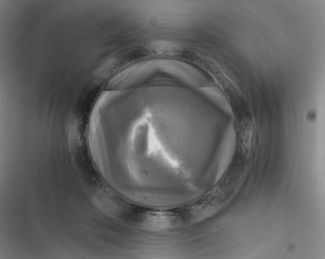 X0000116800316201001081340