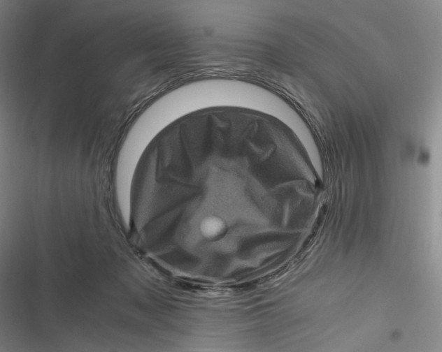 X0000116800317201001081340