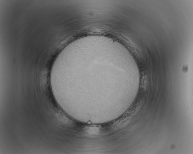 X0000116800318201001081340
