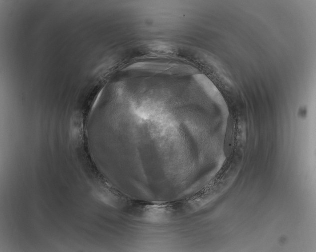 X0000116800320201001081340