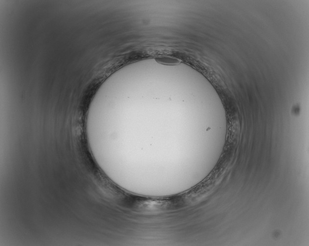 X0000116800323201001081340