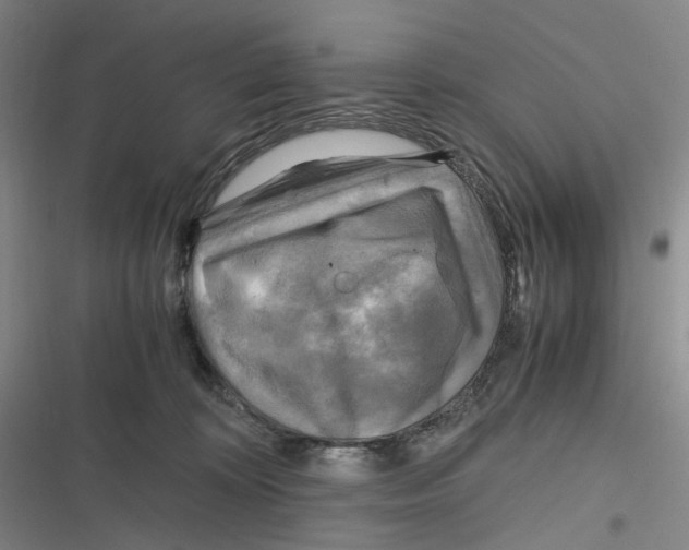 X0000116800324201001081340
