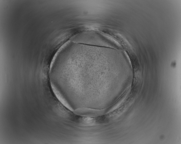 X0000116800325201001081340