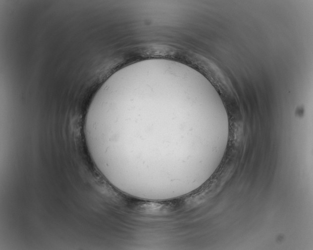 X0000116800326201001081340