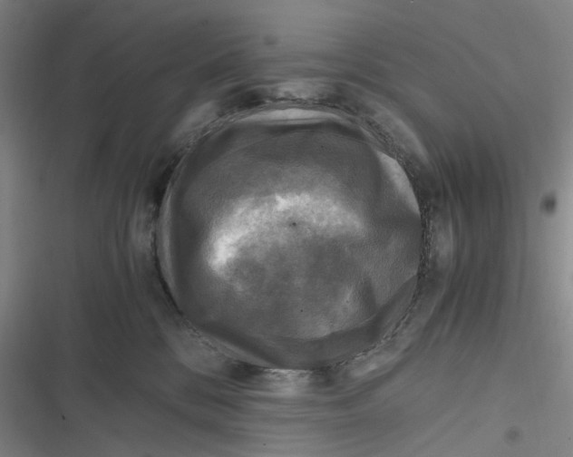 X0000116800328201001081340