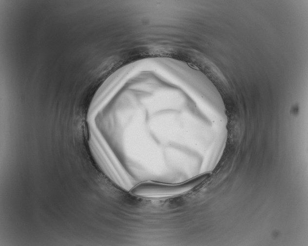X0000116800329201001081340