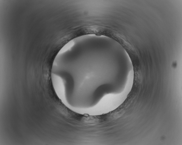 X0000116800331201001081340