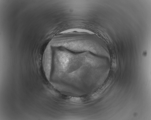 X0000116800332201001081339