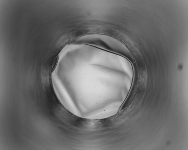 X0000116800333201001081339