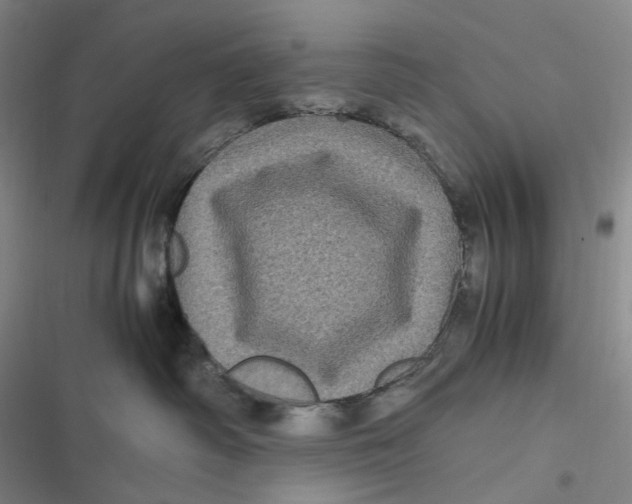 X0000116800334201001081339