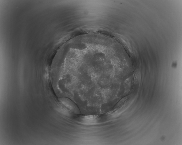 X0000116800335201001081339