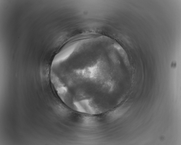 X0000116800336201001081339