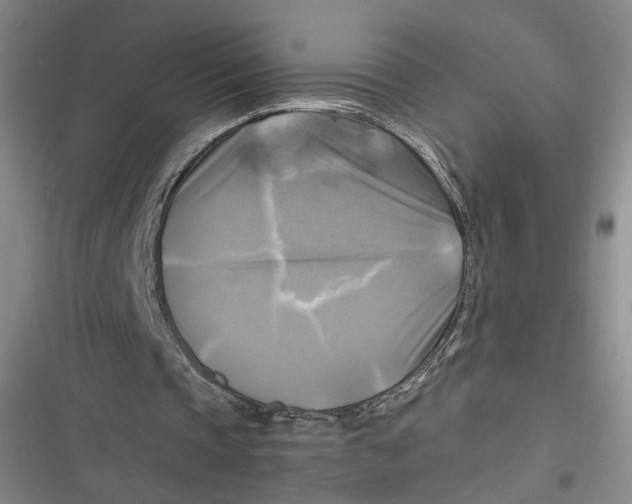 X0000116800337201001081339