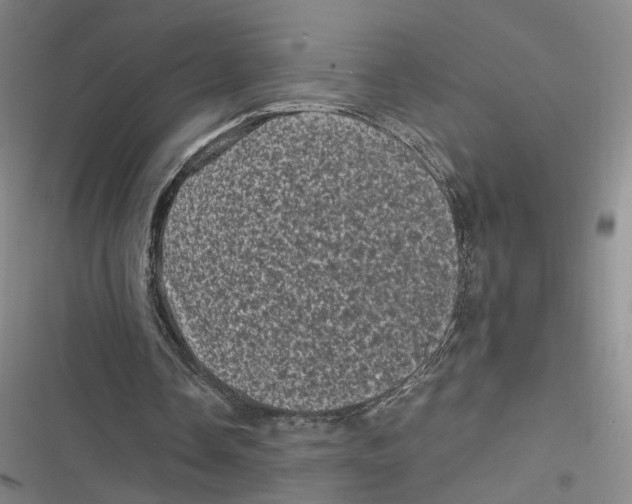 X0000116800338201001081339