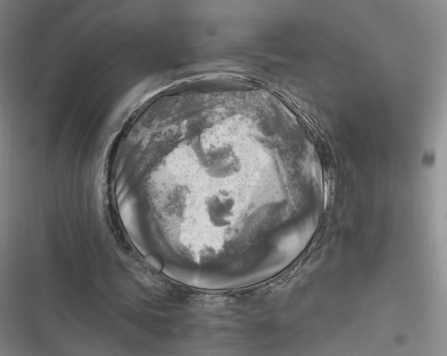 X0000116800339201001081339