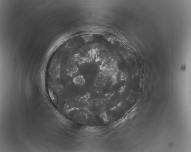 X0000116800341201001081339