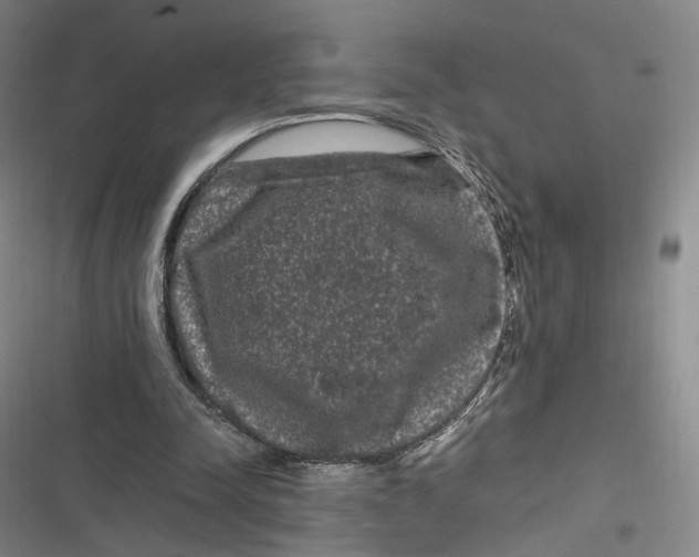X0000116800342201001081339