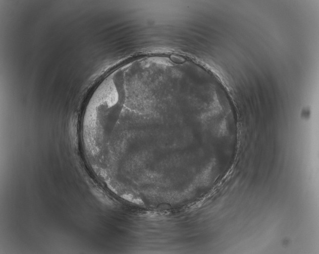 X0000116800345201001081339