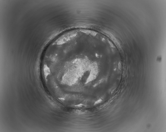 X0000116800346201001081339