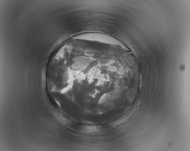 X0000116800349201001081339