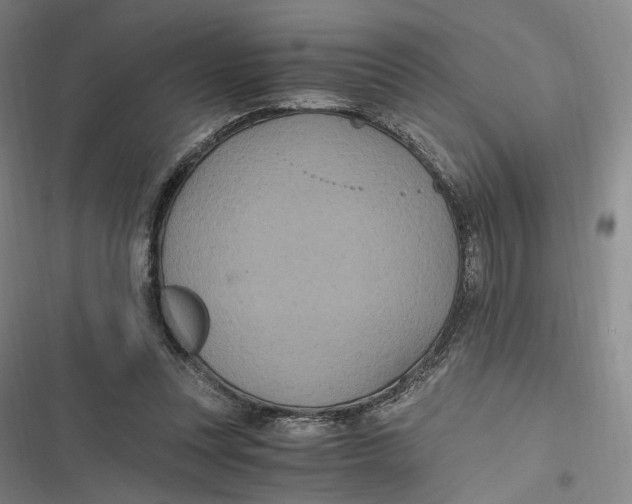 X0000116800351201001081339